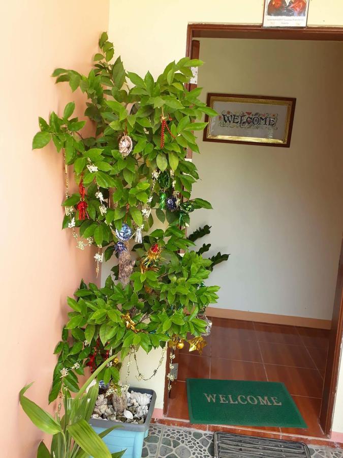 R&E Bed & Breakfast Ivana Dış mekan fotoğraf